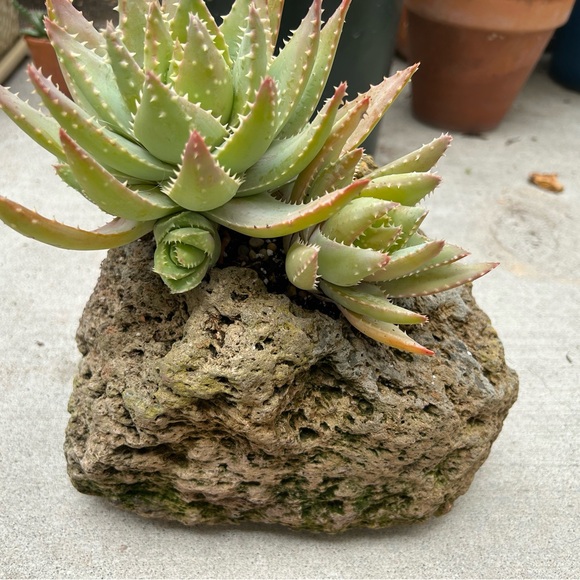 Meet your Posher, Nina - Picture 9 of 13